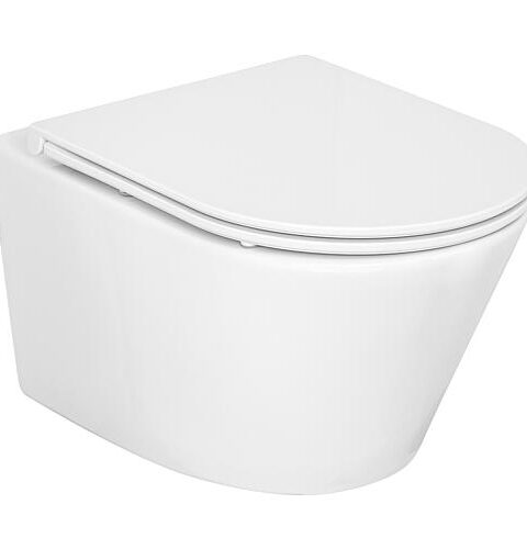 Combi-Pack Amur Wand-Tiefspül WC Spülrandlos Und WC-Sitz Edoma Sandwich Softclose