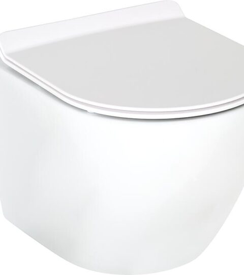 Combi-Pack Arax Wand-Tiefspül WC Spülrandlos Mit Silent Flush 370x370x485mm + WC-Sitz Weiß Glänzend